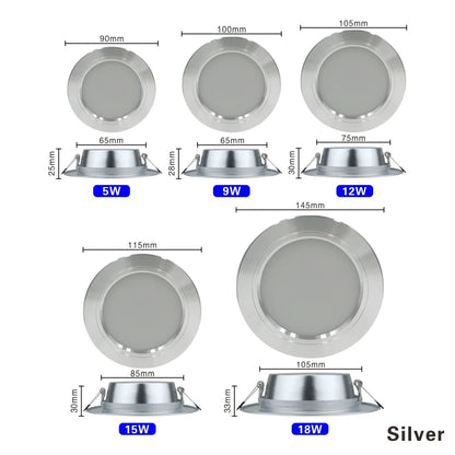 Led Downlights 220v Led Ceiling Light 5W 9W 12W Recessed Down light Round Led Panel Light 15W 18W LED Spot light Indoor Lighting