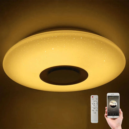 Nordic Round Aisle Led Lamp Mounted Creative Kitchen Lights Ceiling Lamp For Home Indoor Bluetooth Ceiling Light