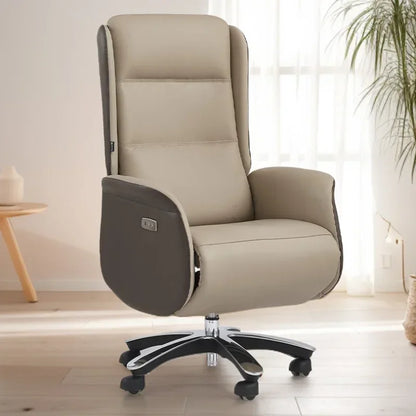 Ergonomic Chair Office Furniture Pc Room Writing Stool With Wheels Chairs Bedroom Luxury Work Living Home Advanced Desk Lazy