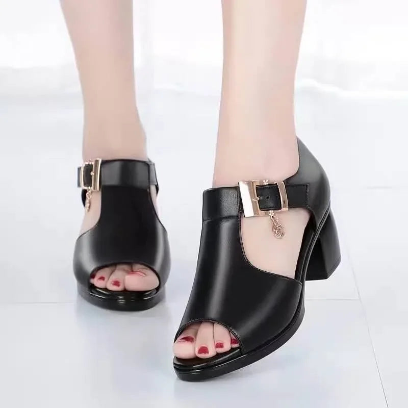 Summer Women's Heeled Shoes Fashion T-strap Peep Toe Women's Sandals Dress Office Ladies Chunky Heel Sandals Zapatos De Mujer