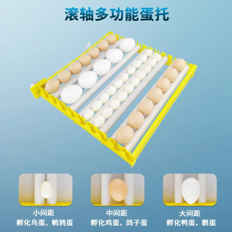Incubadora doméstica totalmente automática, panela de ovo, frango, pato, ganso, panela de ovo de pássaro, bandeja de ovo de rolo