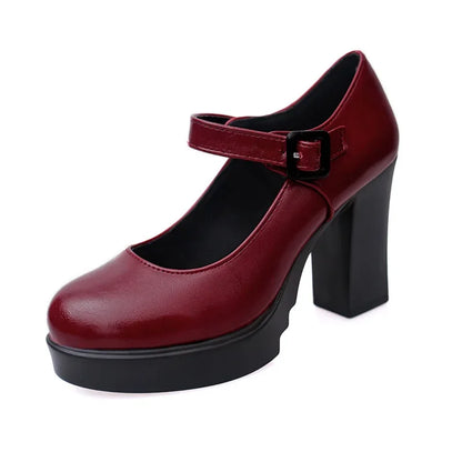 Women Mary Jane Shoes 2024 Thick Heel Platform Women's High Heels Trendy Comfortable Women's Shoes