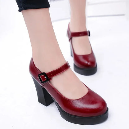 Women Mary Jane Shoes 2024 Thick Heel Platform Women's High Heels Trendy Comfortable Women's Shoes