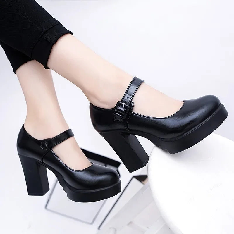 Women Mary Jane Shoes 2024 Thick Heel Platform Women's High Heels Trendy Comfortable Women's Shoes