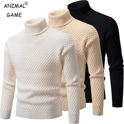 Autumn Mens Turtleneck Sweater Casual Rollneck Knitted Pullover Jacket Coats Warm Men Jumper Woolen Sweater Winter Streetwear