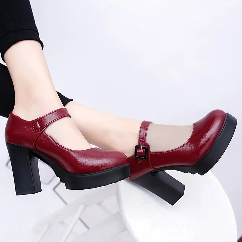 Women Mary Jane Shoes 2024 Thick Heel Platform Women's High Heels Trendy Comfortable Women's Shoes