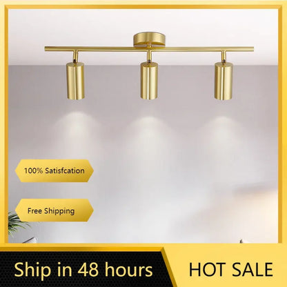 Modern Gold Spotlight Led Ceiling Light Nordic Minimalist Lighting Fixtures Aluminum E27 Living Bedroom Bar Indoor Decor Lamps